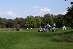 IMG_3928-Custom