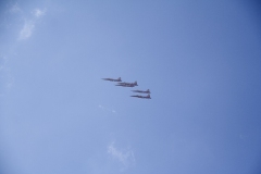 Commissie-bedankdag-2019-29