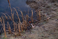 Oliebollen-toernooi-2019-17