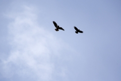 Ontbijttoernooi-Leemskuilen-35